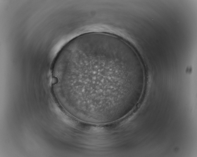 X0000113231509200909241511