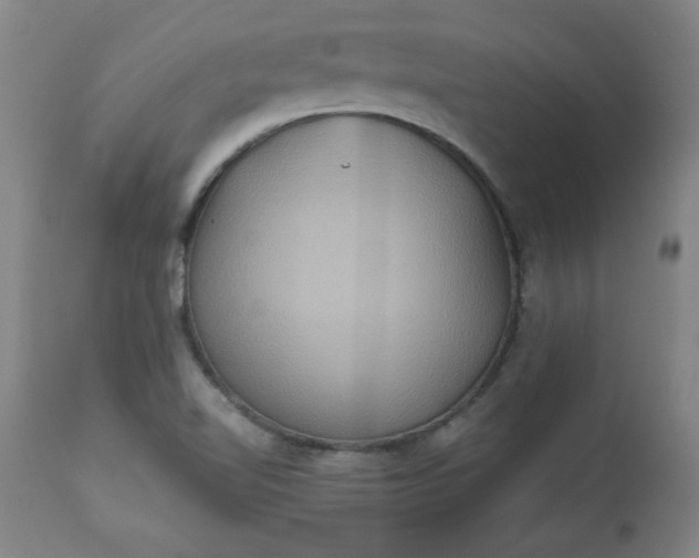 X0000113231510200909241511