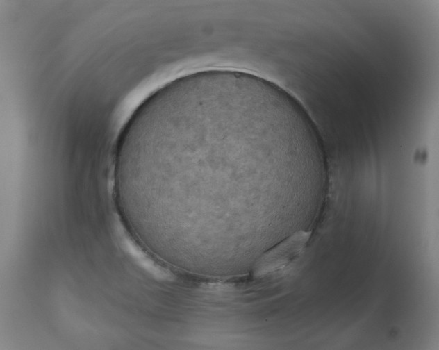 X0000113231511200909241511