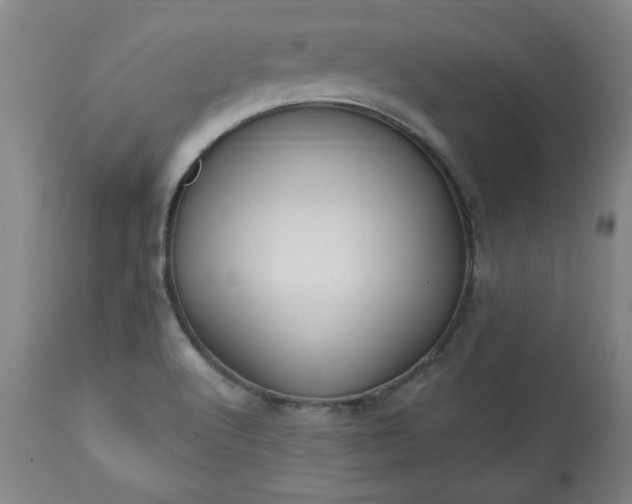 X0000113231512200909241511