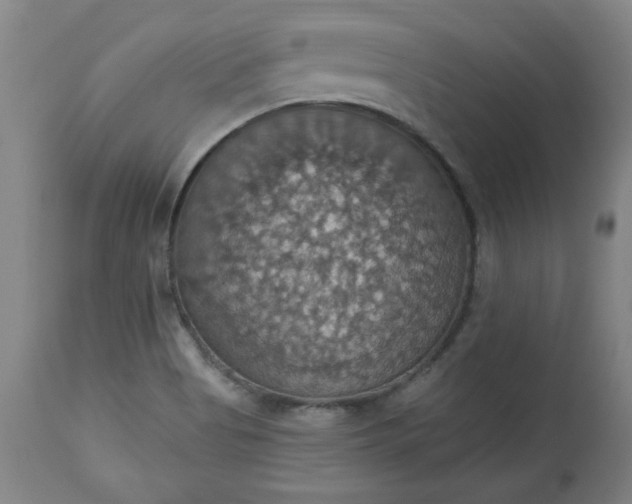 X0000113231513200909241511