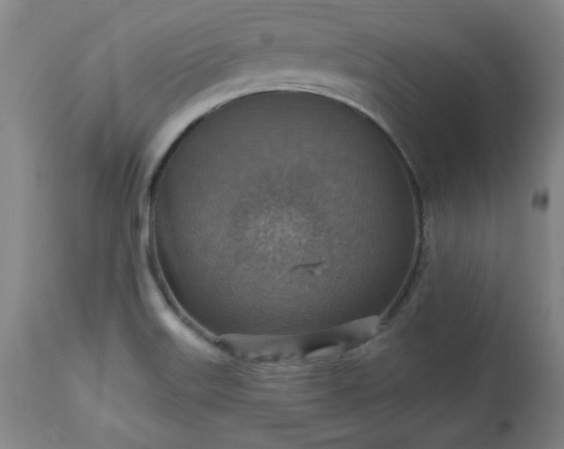 X0000113231515200909241511