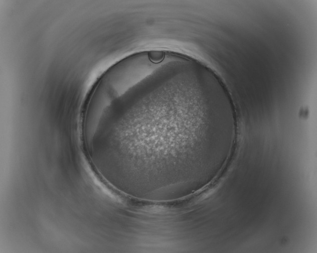 X0000113231517200909241511