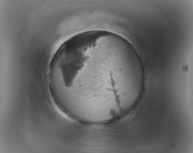 X0000113231519200909241511