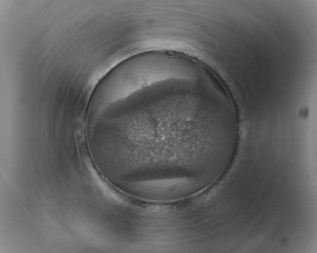 X0000113231521200909241511