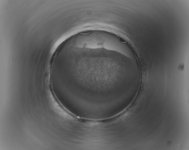 X0000113231522200909241511