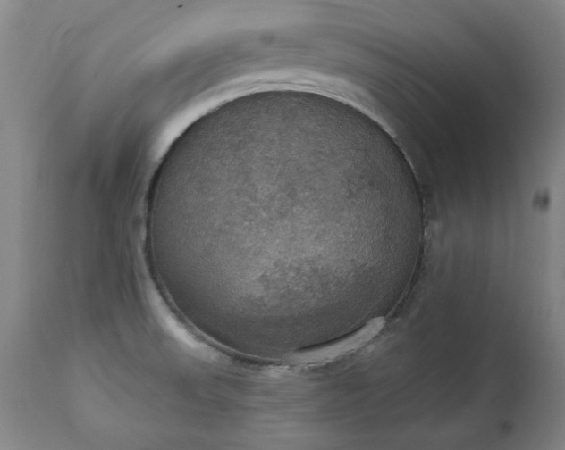 X0000113231523200909241511