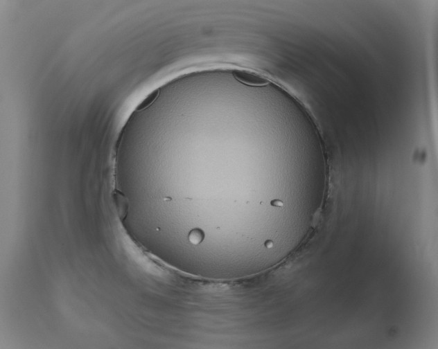 X0000113231524200909241511