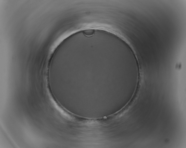 X0000113231525200909241511