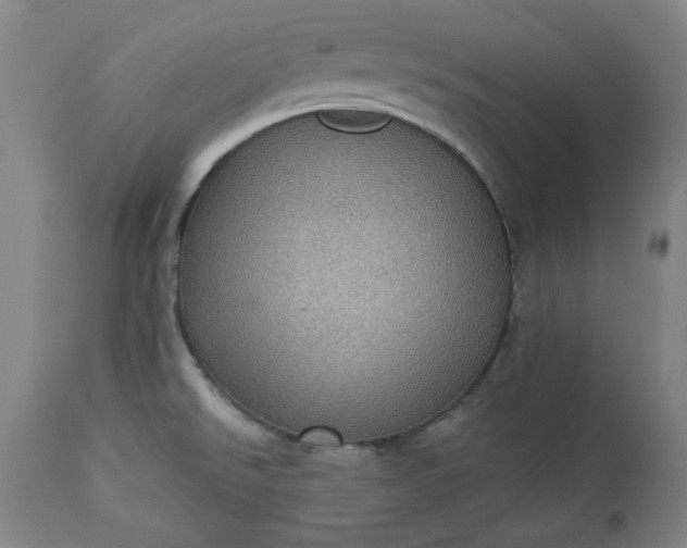 X0000113231526200909241511