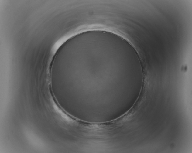 X0000113231527200909241511