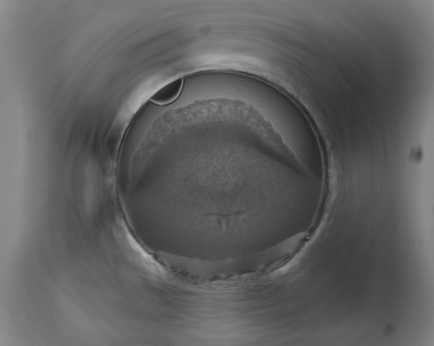 X0000113231529200909241511