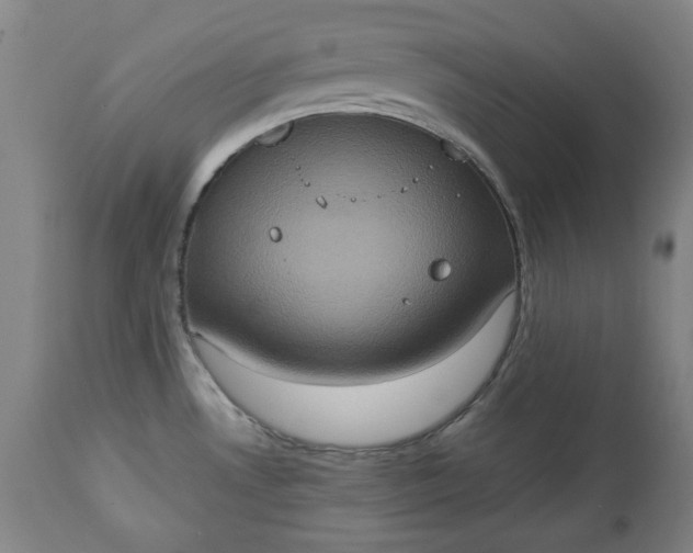 X0000113231530200909241511