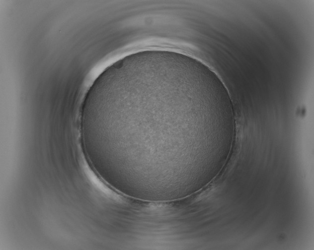 X0000113231531200909241511