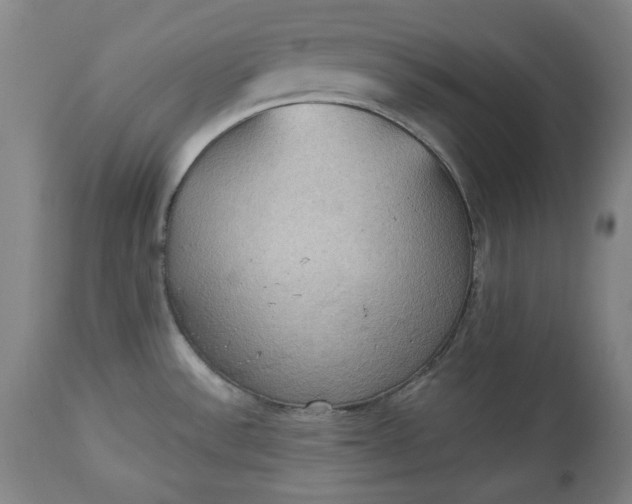 X0000113231532200909241511