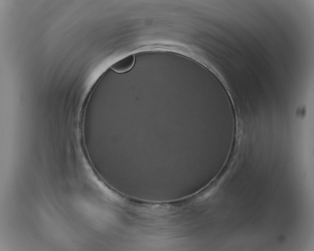 X0000113231533200909241511