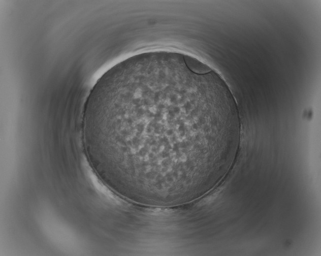 X0000113231534200909241511