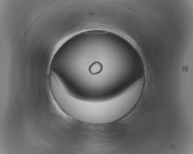 X0000113231536200909241511