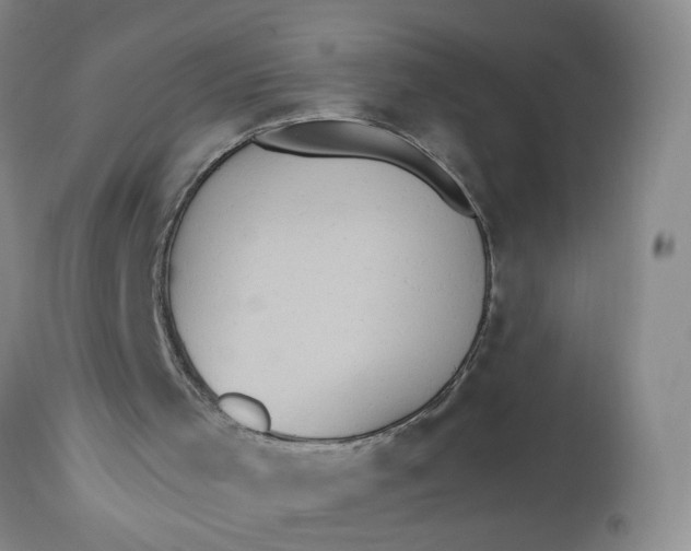 X0000113230001200910011420