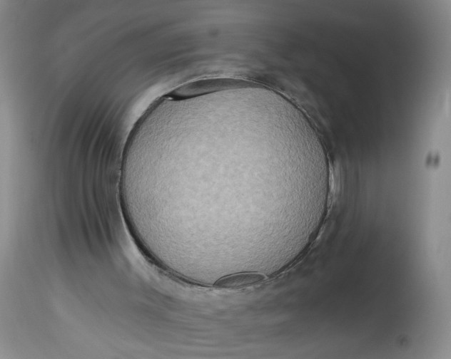 X0000113230003200910011420