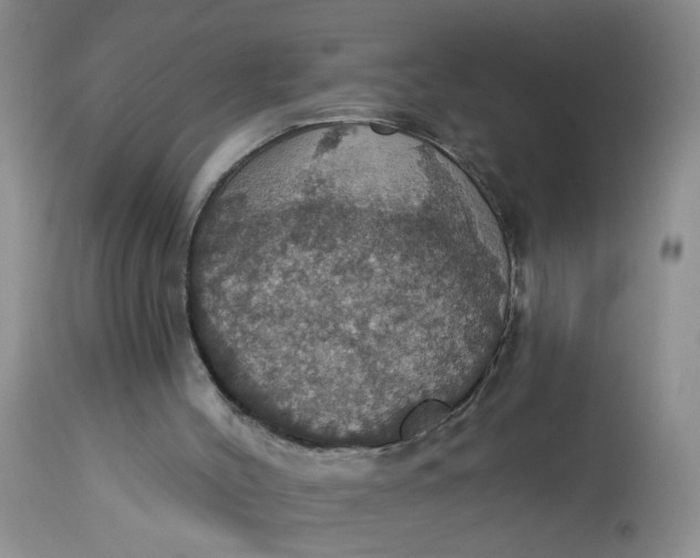 X0000113230004200910011420