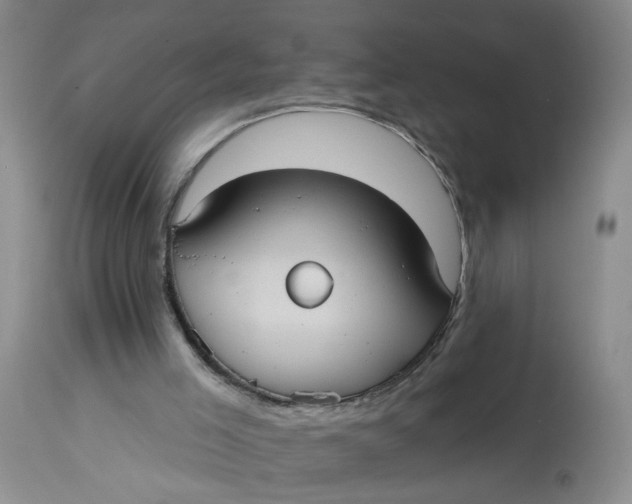 X0000113230005200910011420