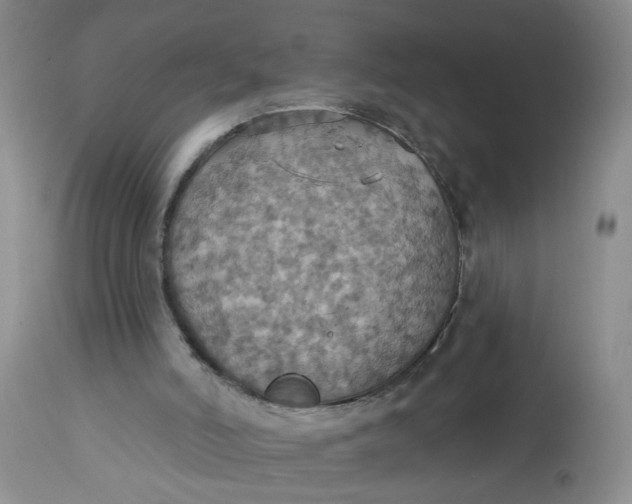 X0000113230006200910011420