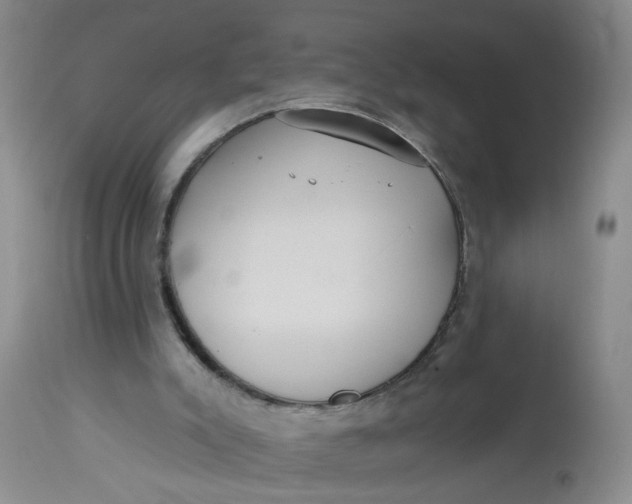 X0000113230007200910011420