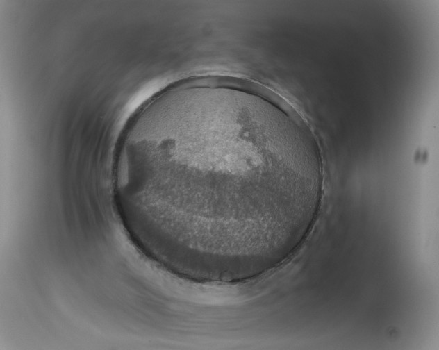 X0000113230008200910011420