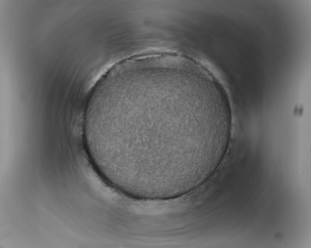 X0000113230009200910011420