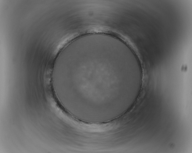 X0000113230010200910011420