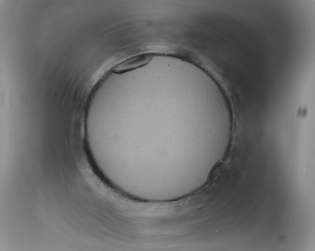 X0000113230011200910011420