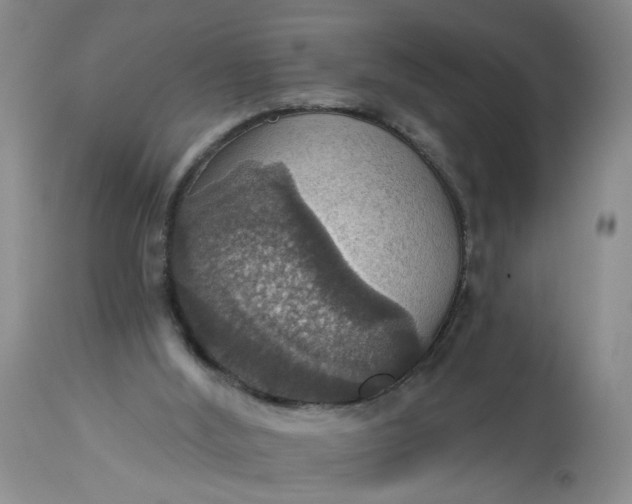 X0000113230012200910011420