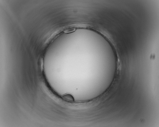 X0000113230013200910011420