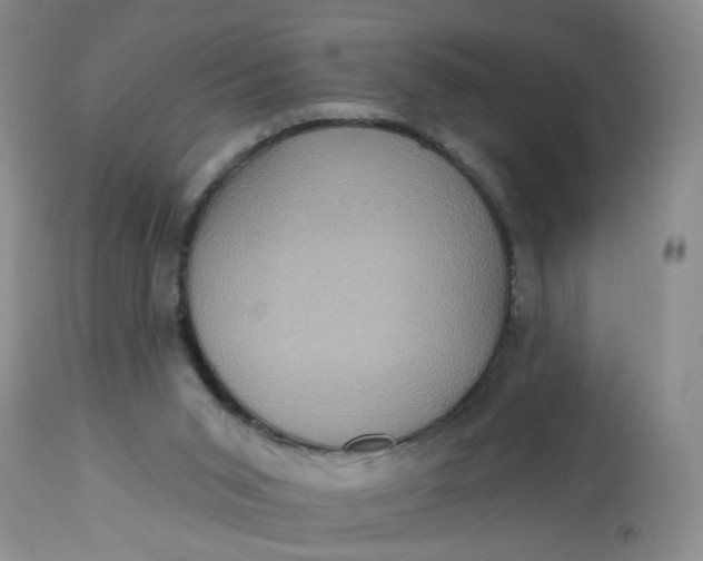 X0000113230015200910011420