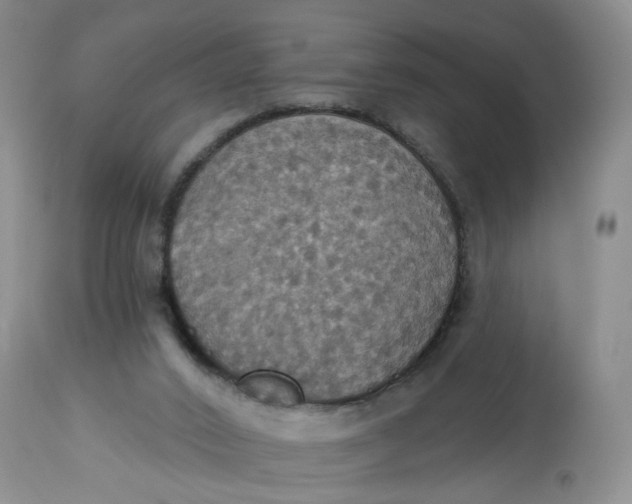 X0000113230016200910011420