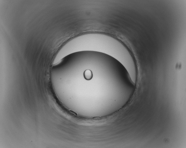 X0000113230017200910011420