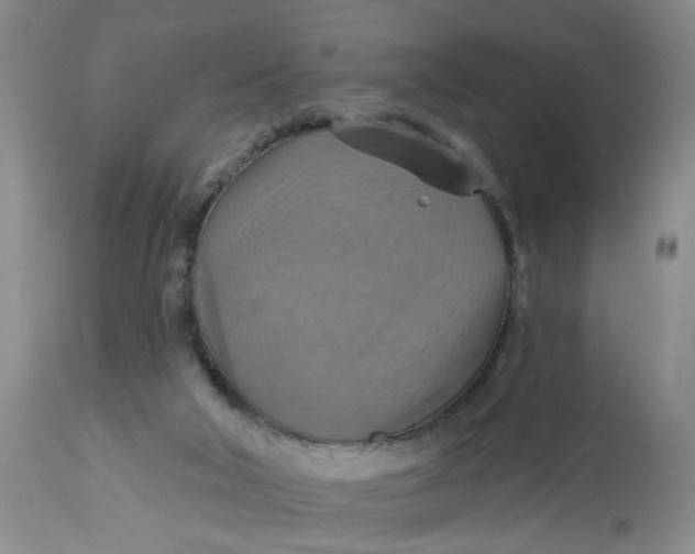 X0000113230018200910011420