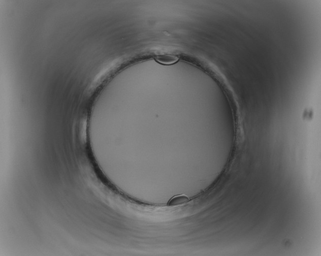 X0000113230019200910011420