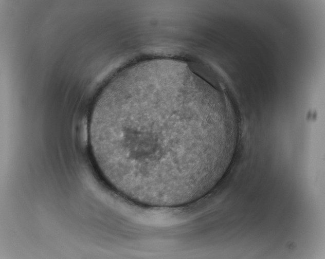 X0000113230020200910011420