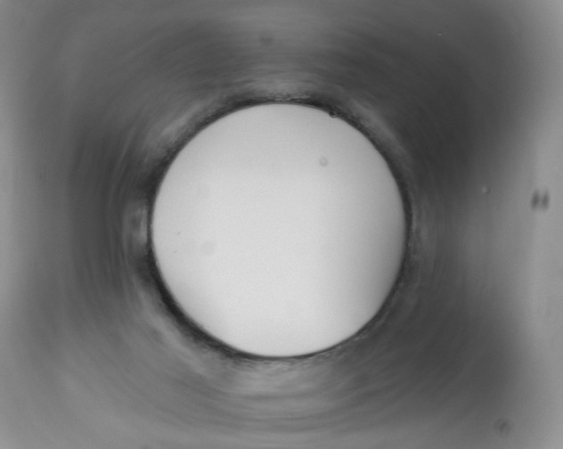 X0000113230021200910011420