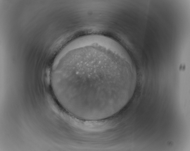 X0000113230022200910011420