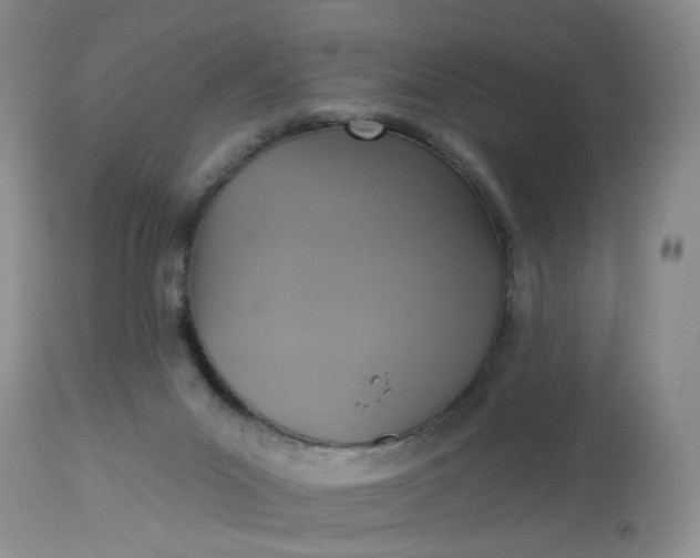 X0000113230023200910011420