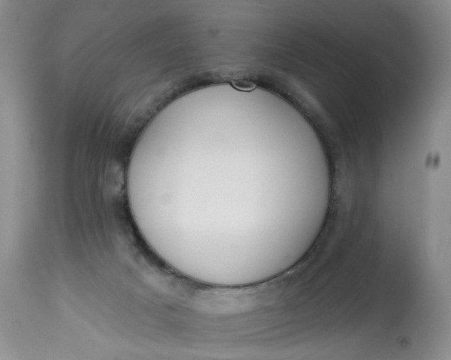 X0000113230025200910011420