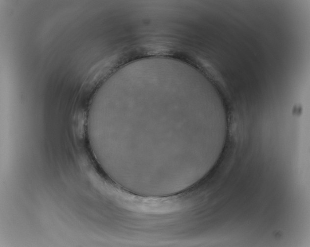 X0000113230026200910011420