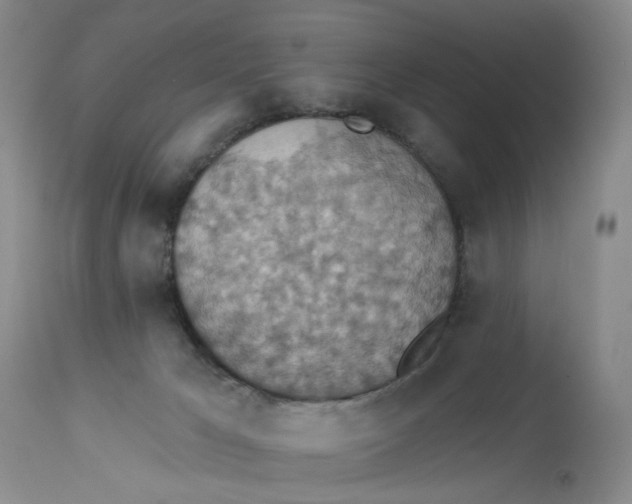 X0000113230029200910011420