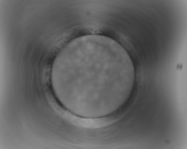 X0000113230030200910011420