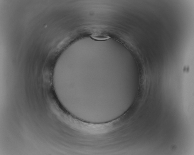 X0000113230031200910011420