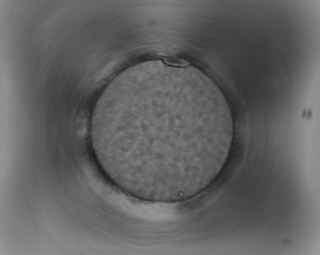 X0000113230032200910011420