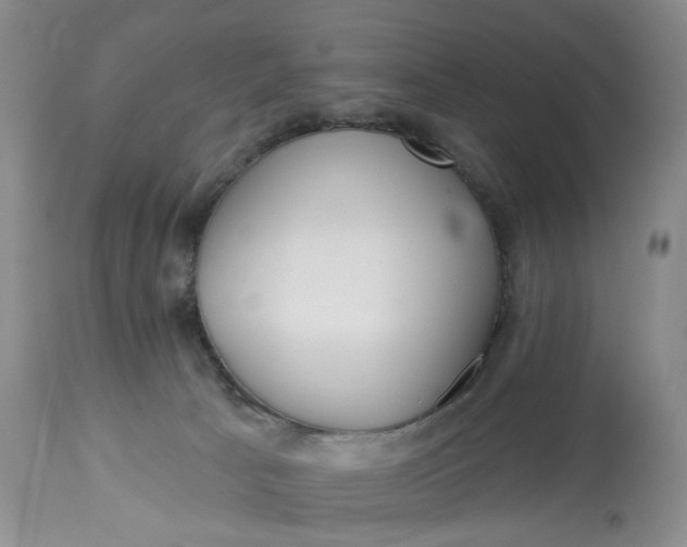 X0000113230033200910011420